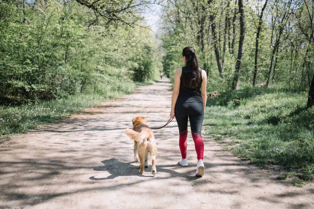Hund mit Frau