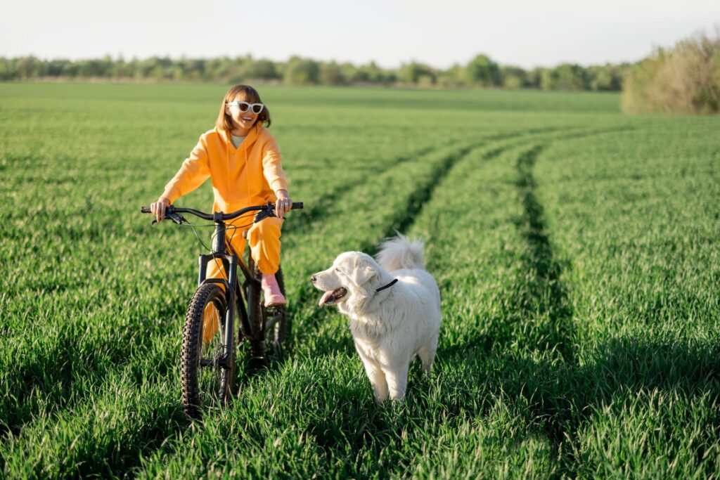 Mit dem Hund als Begleitung Fahrradfahren