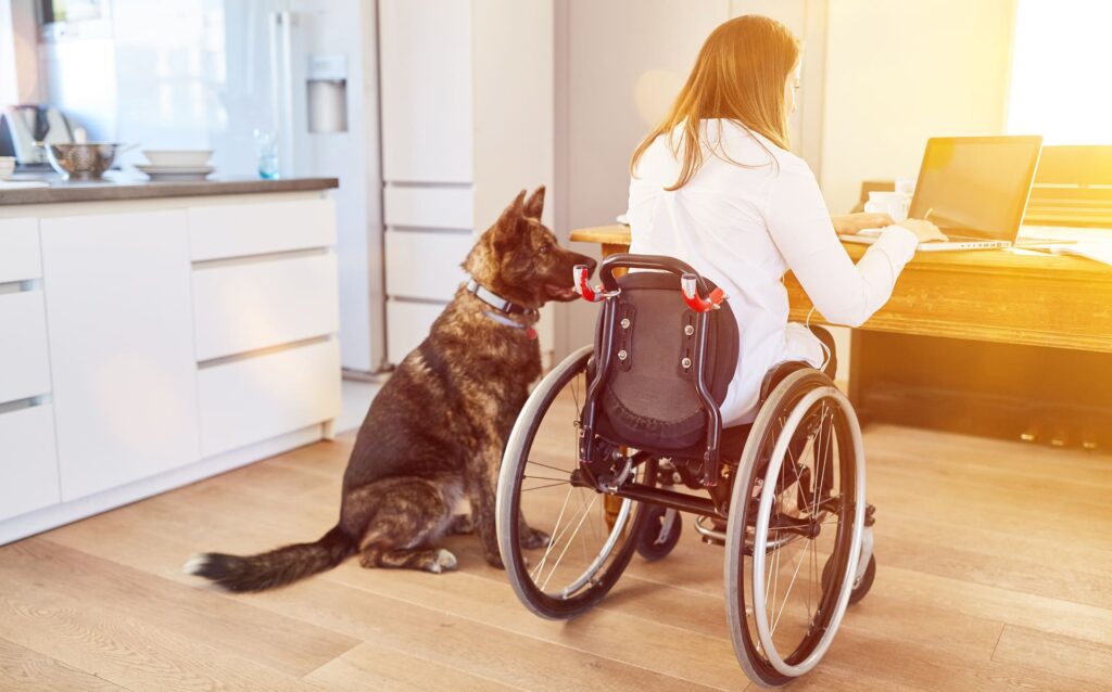 Assistenzhund