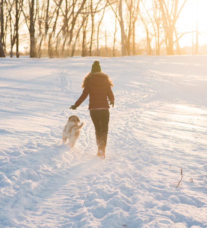 Spaziergang Hund im Schnee