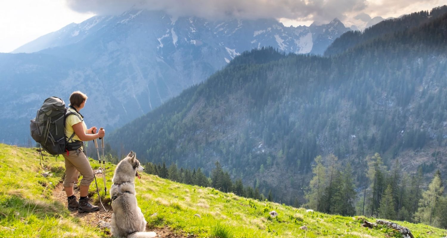 Alpenwanderung mit dem Hund.