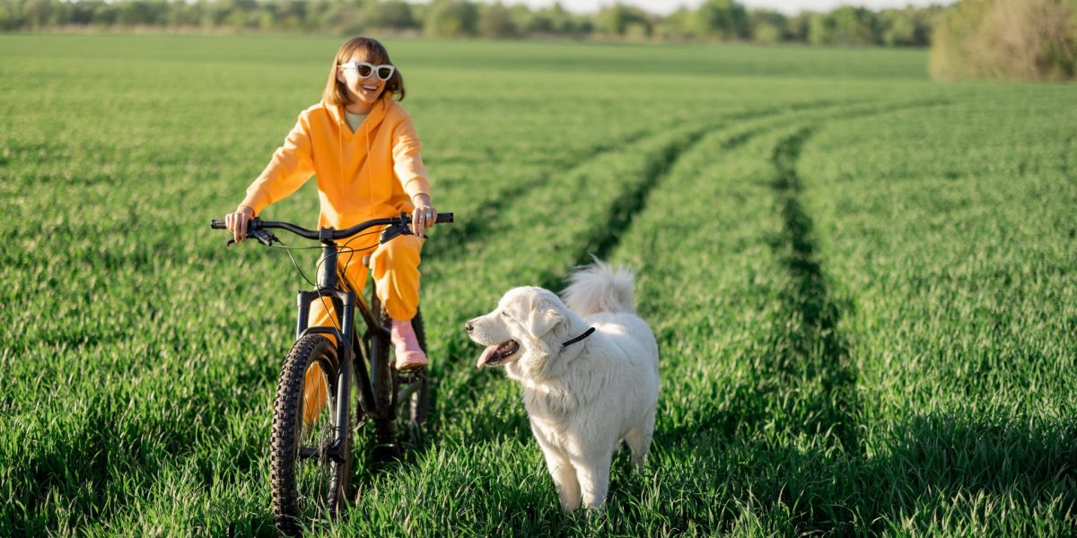 Mit dem Hund als Begleitung Fahrradfahren