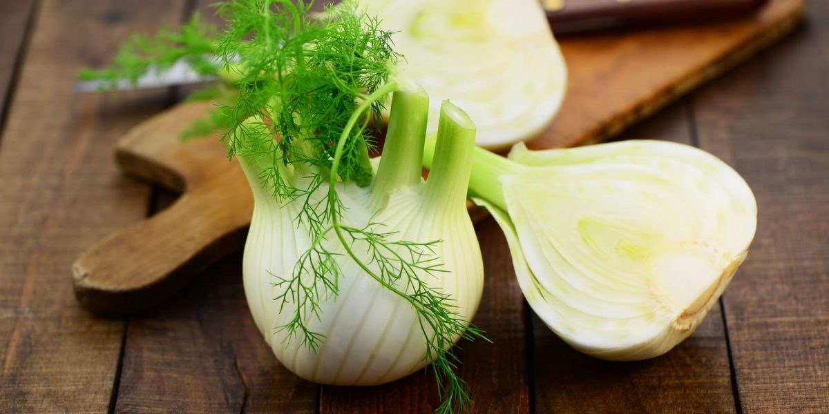 Fenchel für Hunde